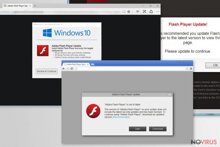 Adobe Flash Player is out of date