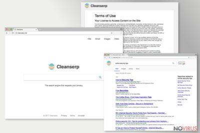 The picture of Cleanserp.net search engine
