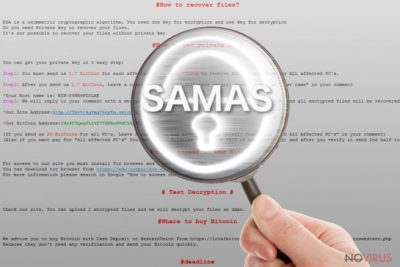 The picture of Samas ransomware