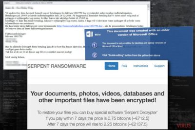 The image of Serpent ransomware