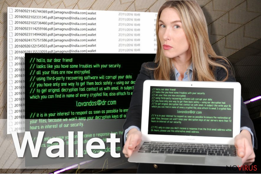 Wallet ransomware virus