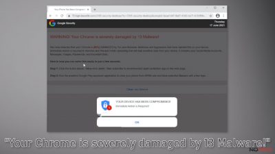 "Your Chrome is severely damaged by 13 Malware!"